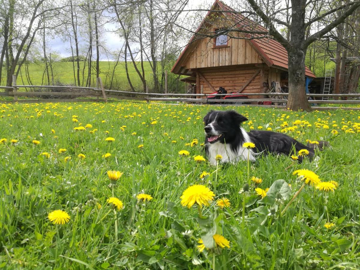 Holiday Home Holiday Raj เบเชนยอวา ภายนอก รูปภาพ